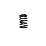 D12000i - Valve Spring (RATO)