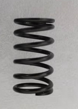D9000i-Valve Spring
